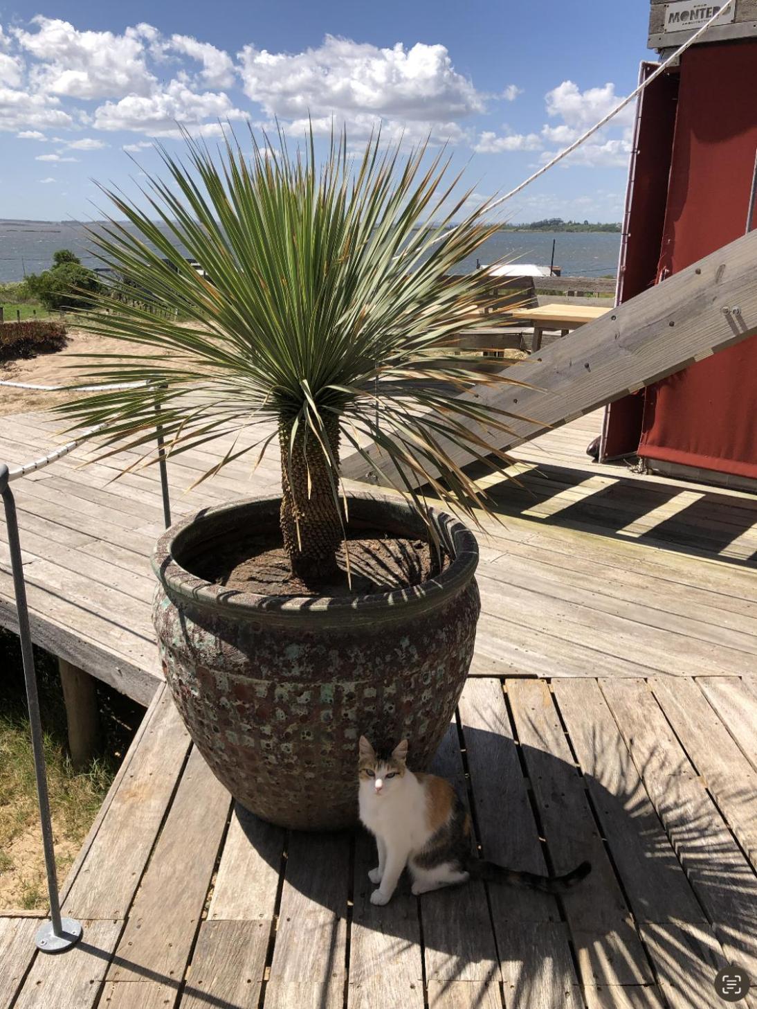Posada El Pepe Jose Ignacio  Luaran gambar